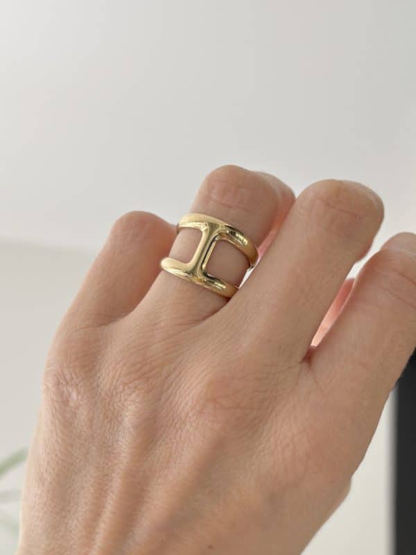 Vous pouvez porter cette bague en parure, il existe en effet le earcuff, le bracelet, le collier du même type. Vous pouvez suivre ce lien pour découvrir les bijoux de la même gamme