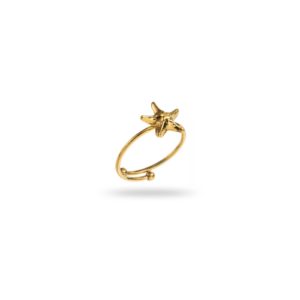 https://laboutiquedecha.fr/produit/bague-alyssa-dore-ex-voto-bijou-en-acier-inoxydable/